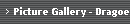 Picture Gallery - Dragoer