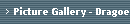 Picture Gallery - Dragoer