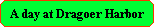 A day at Dragoer Harbor